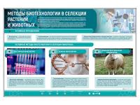 Сборный электрифицированный стенд "Методы биотехнологии в селекции растений и животных"