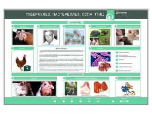 Электрифицированный стенд «Туберкулез. Пастереллез. Оспа птиц»