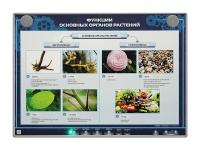 Электрифицированный стенд "Функции основных органов растений"