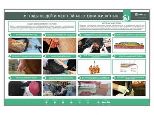 Электрифицированный стенд «Методы общей и местной анестезии»