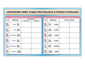 Фрагмент (демонстрационный) маркерный двухсторонний "Склонение имен существительных и прилагательных"