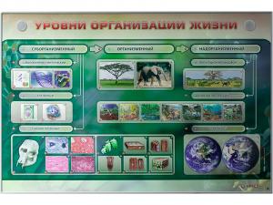 Электрифицированный стенд "Уровни организации жизни"