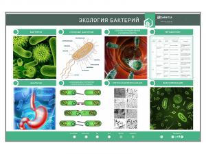 Электрифицированный стенд «Экология бактерий»