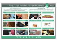 Электрифицированный стенд «Методы общей и местной анестезии»