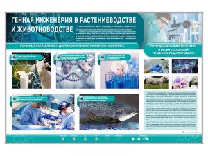 Сборный электрифицированный стенд "Генная инженерия в растениеводстве и животноводстве"