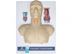 Тренажер трахеотомии