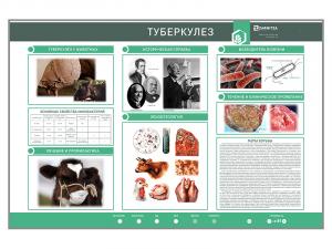 Электрифицированный стенд «Туберкулез»