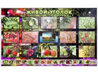 Комплект оборудования "Живой уголок" (растения) с тифлопереводом и сурдокомментариями
