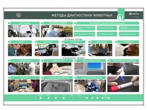 Электрифицированный стенд "Методы диагностики животных"
