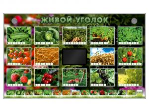 Комплект оборудования "Живой уголок" (растения)