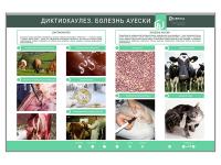Электрифицированный стенд «Диктиокаулез. Болезнь Ауески»